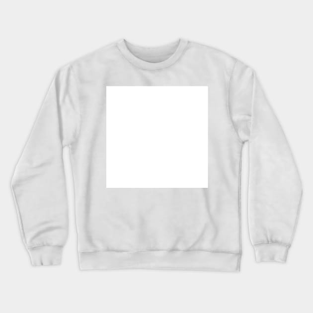 004 Crewneck Sweatshirt by Secret Identity